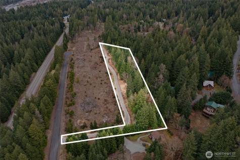 134 Grizzly Road Packwood WA 98361