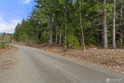 134 Grizzly Road Packwood WA 98361