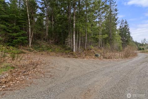 134 Grizzly Road Packwood WA 98361
