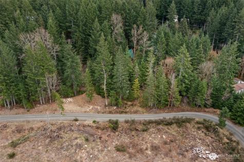 134 Grizzly Road Packwood WA 98361