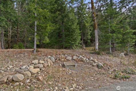 134 Grizzly Road Packwood WA 98361