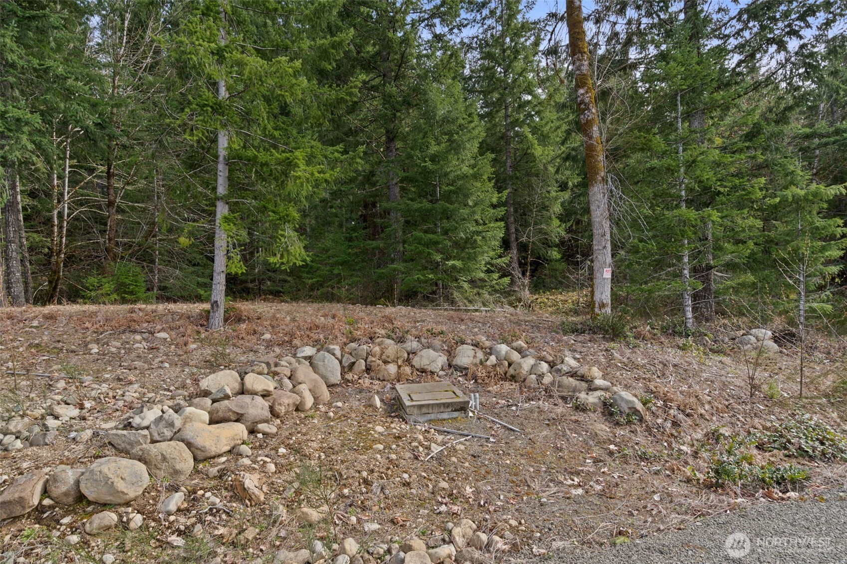 134 Grizzly Road Packwood WA 98361