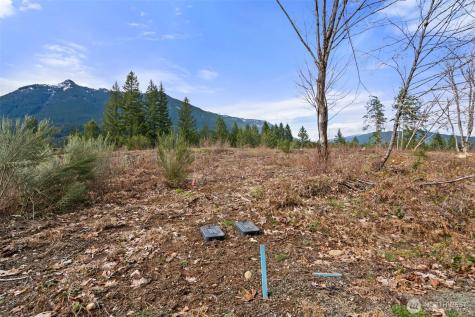 134 Grizzly Road Packwood WA 98361