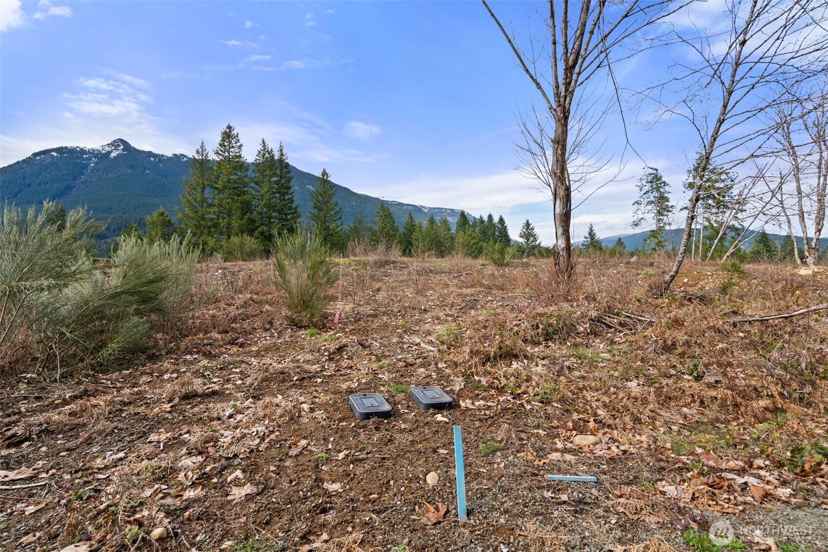 134 Grizzly Road Packwood WA 98361