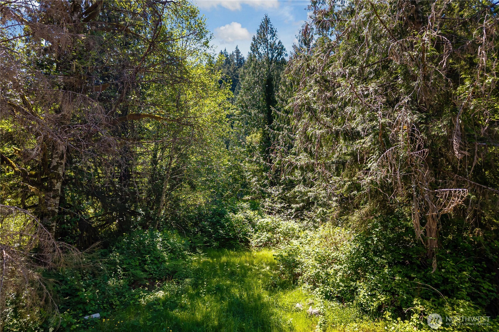15280 Wa State Route 530 Concrete WA 98237
