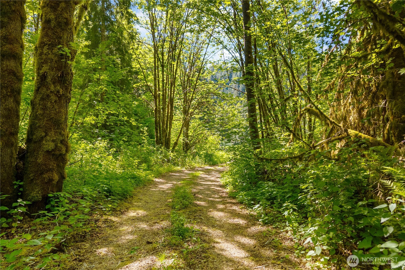 15280 Wa State Route 530 Concrete WA 98237