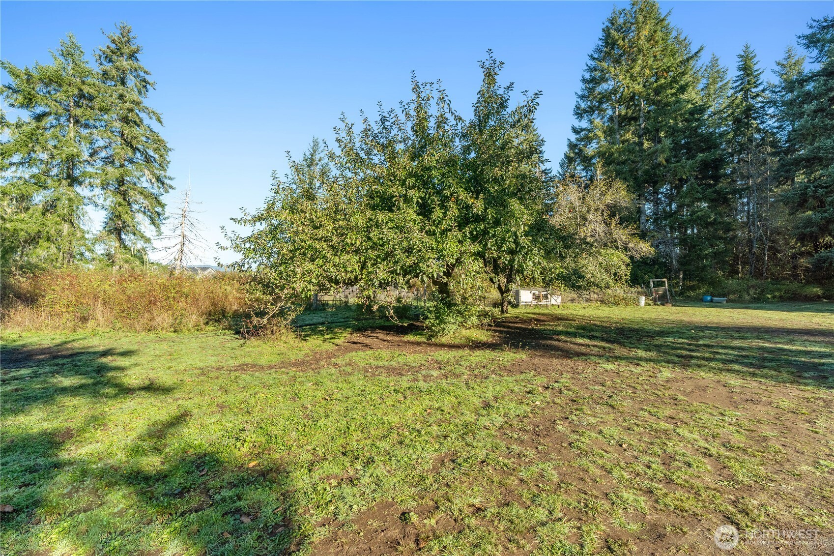 433 W Lucas Lane Elma WA 98541