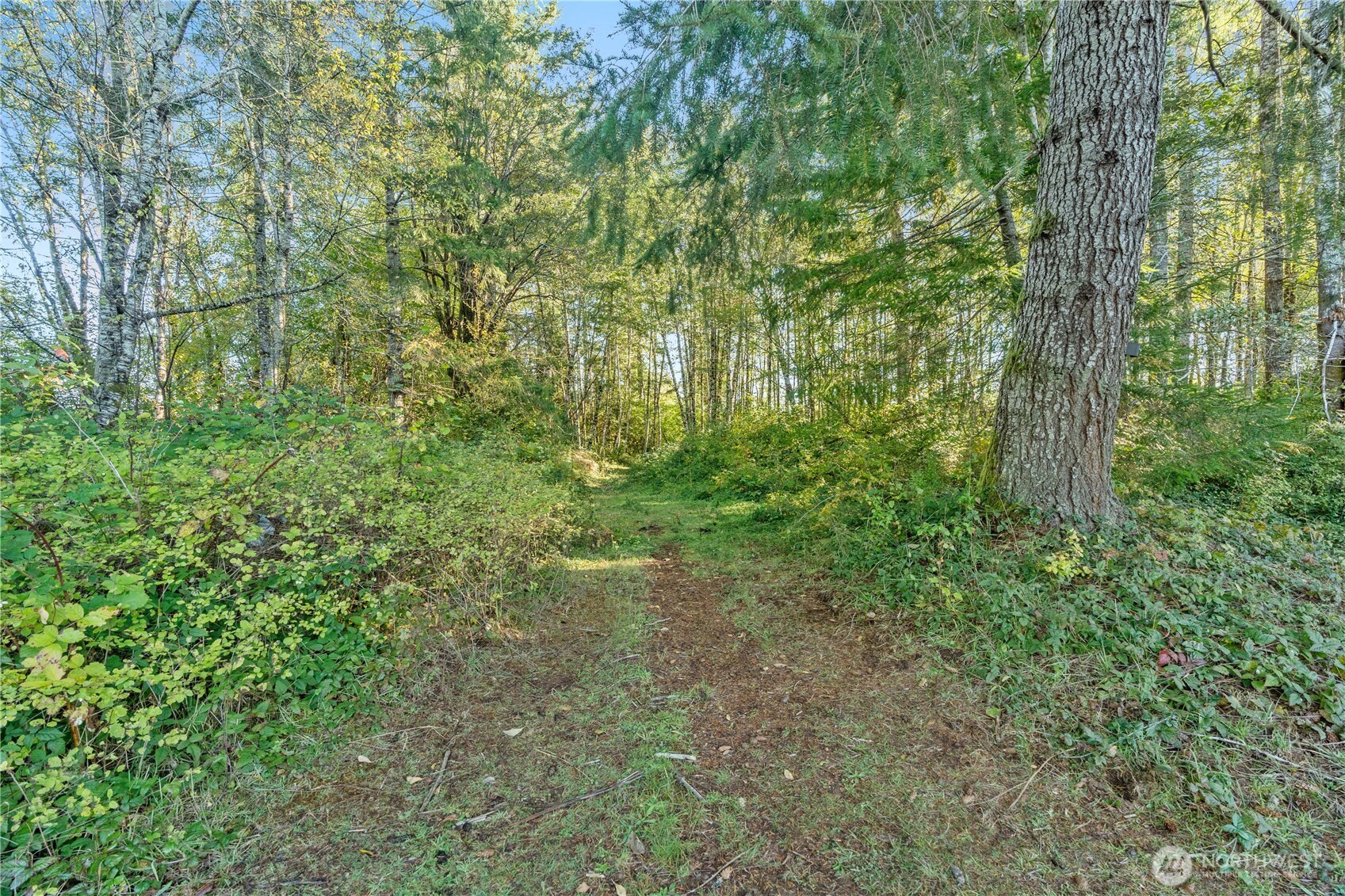 433 W Lucas Lane Elma WA 98541