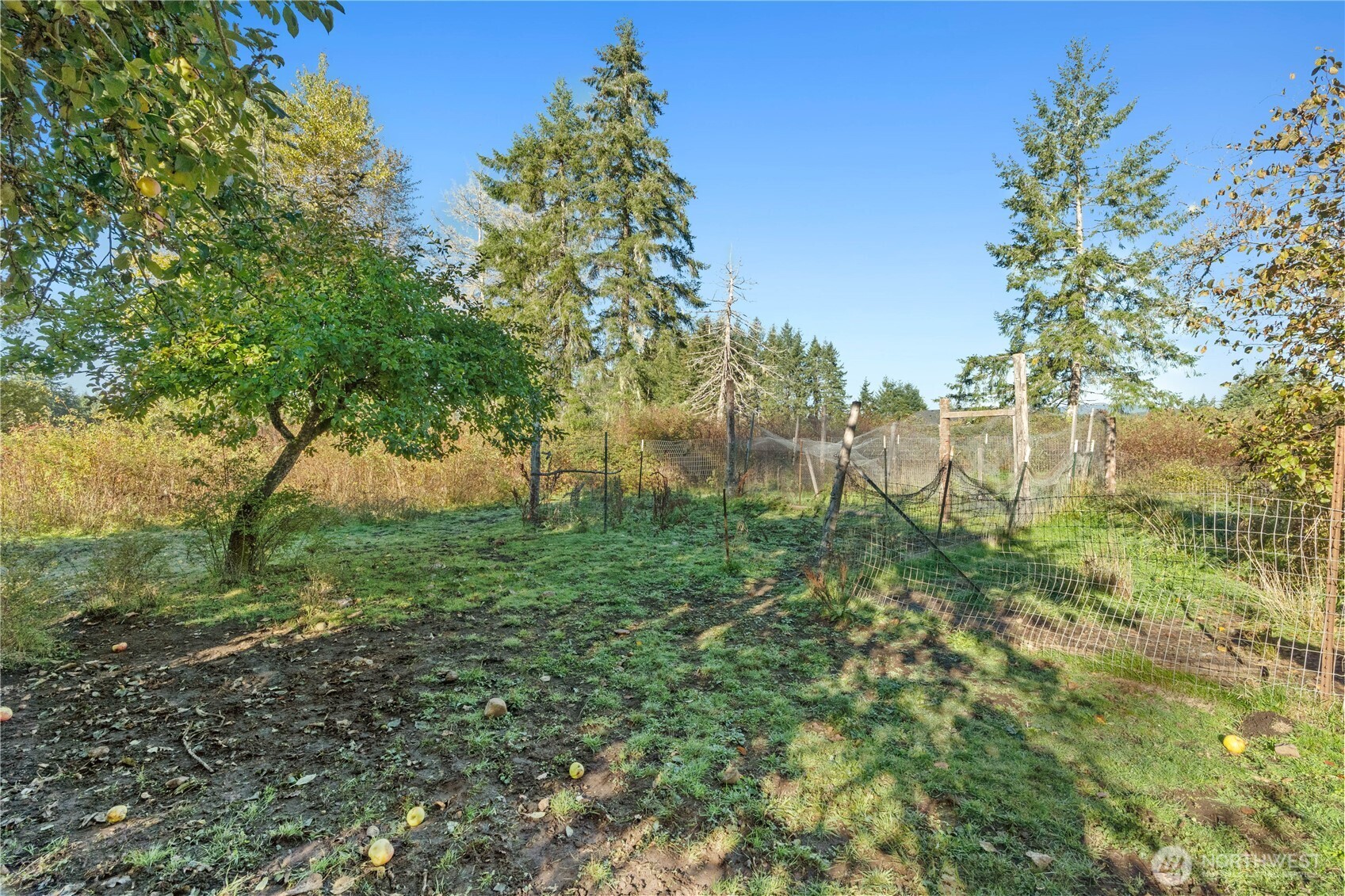433 W Lucas Lane Elma WA 98541