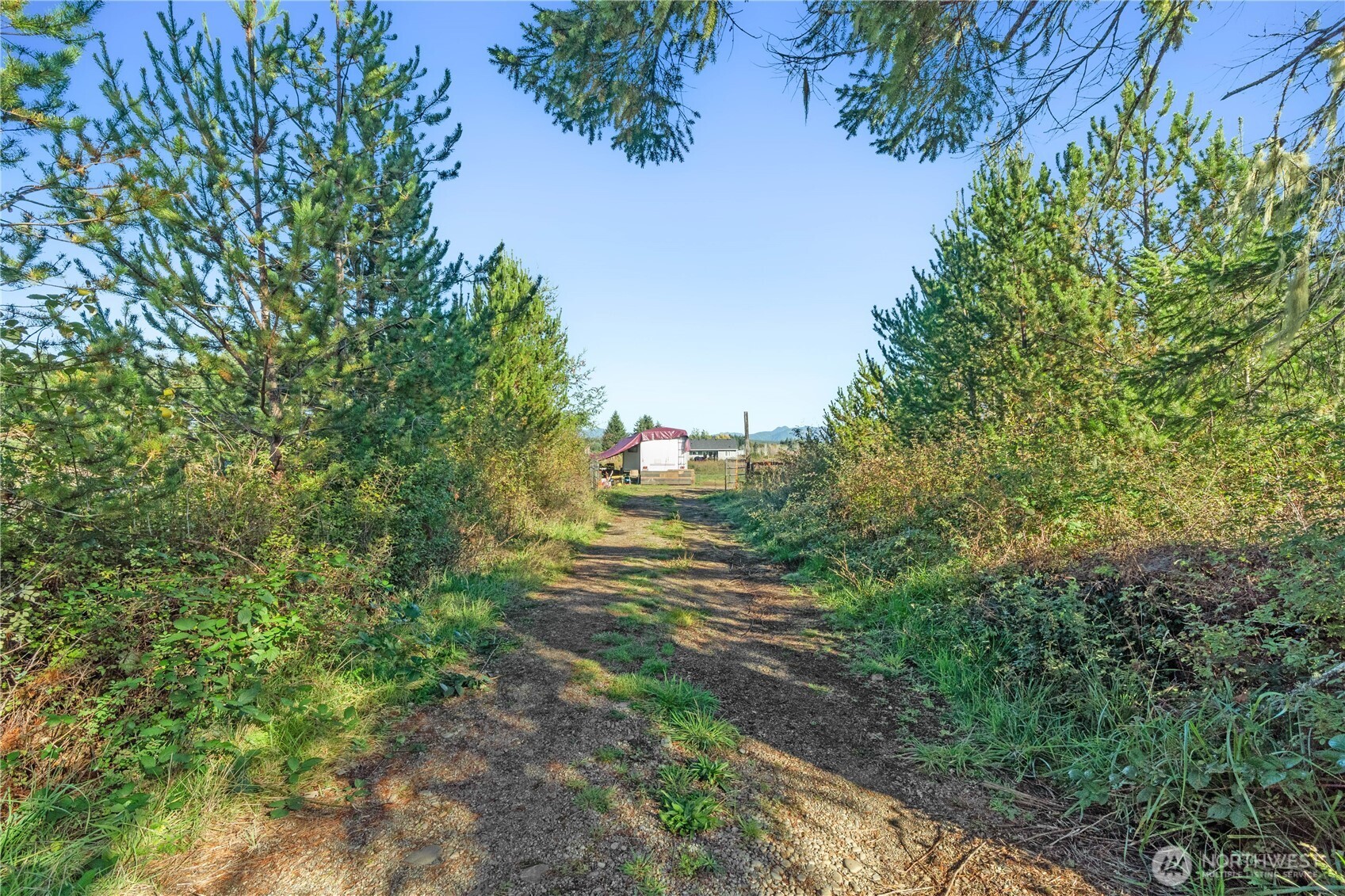 433 W Lucas Lane Elma WA 98541
