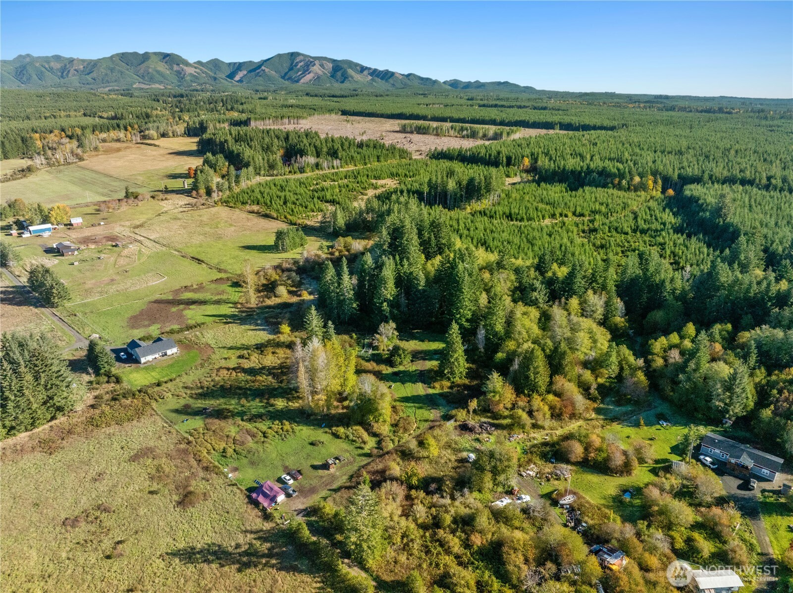 433 W Lucas Lane Elma WA 98541