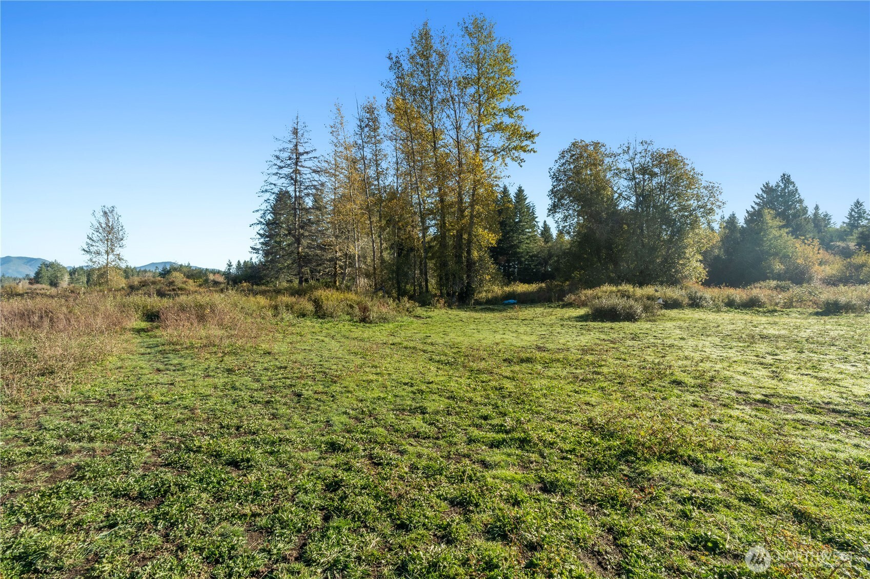 433 W Lucas Lane Elma WA 98541