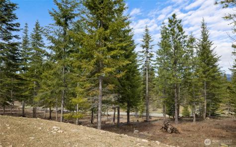 73 Liberty Bell Lane Cle Elum WA 98922