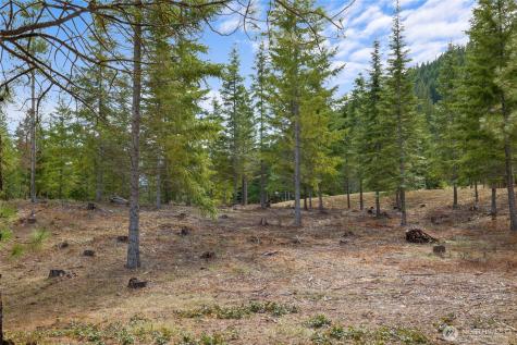 73 Liberty Bell Lane Cle Elum WA 98922