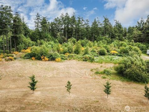 0 Goldie Road Oak Harbor WA 98277