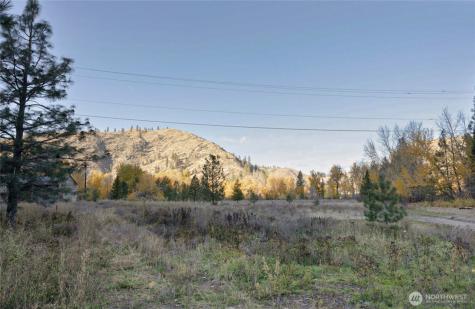 309 Mad Ranch Lane Entiat WA 98822