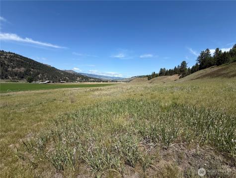 0 Art Creek Road Malo WA 99150