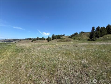 0 Art Creek Road Malo WA 99150