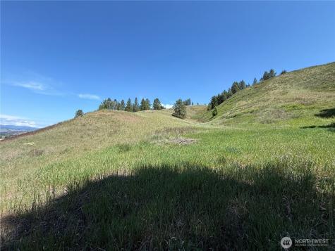 0 Art Creek Road Malo WA 99150