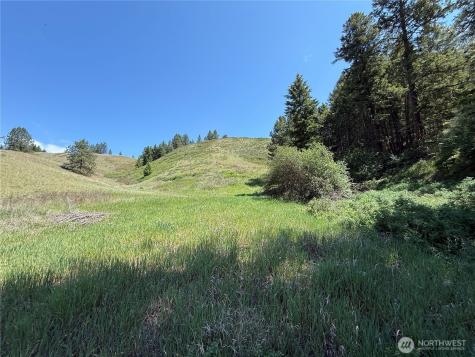 0 Art Creek Road Malo WA 99150