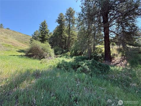 0 Art Creek Road Malo WA 99150