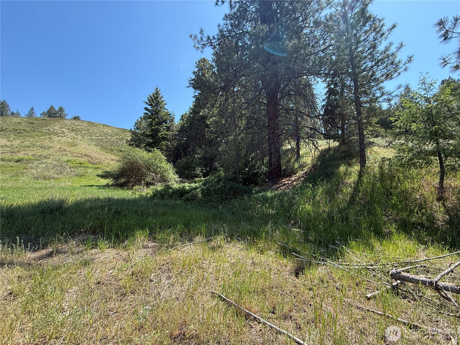 0 Art Creek Road Malo WA 99150
