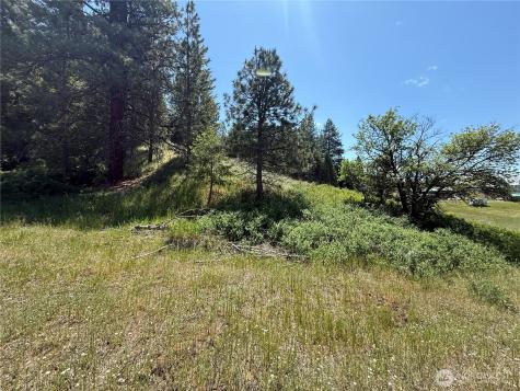 0 Art Creek Road Malo WA 99150