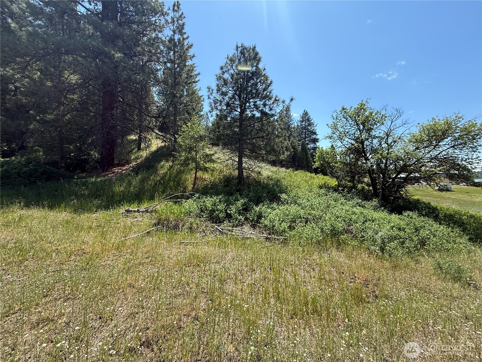 0 Art Creek Road Malo WA 99150