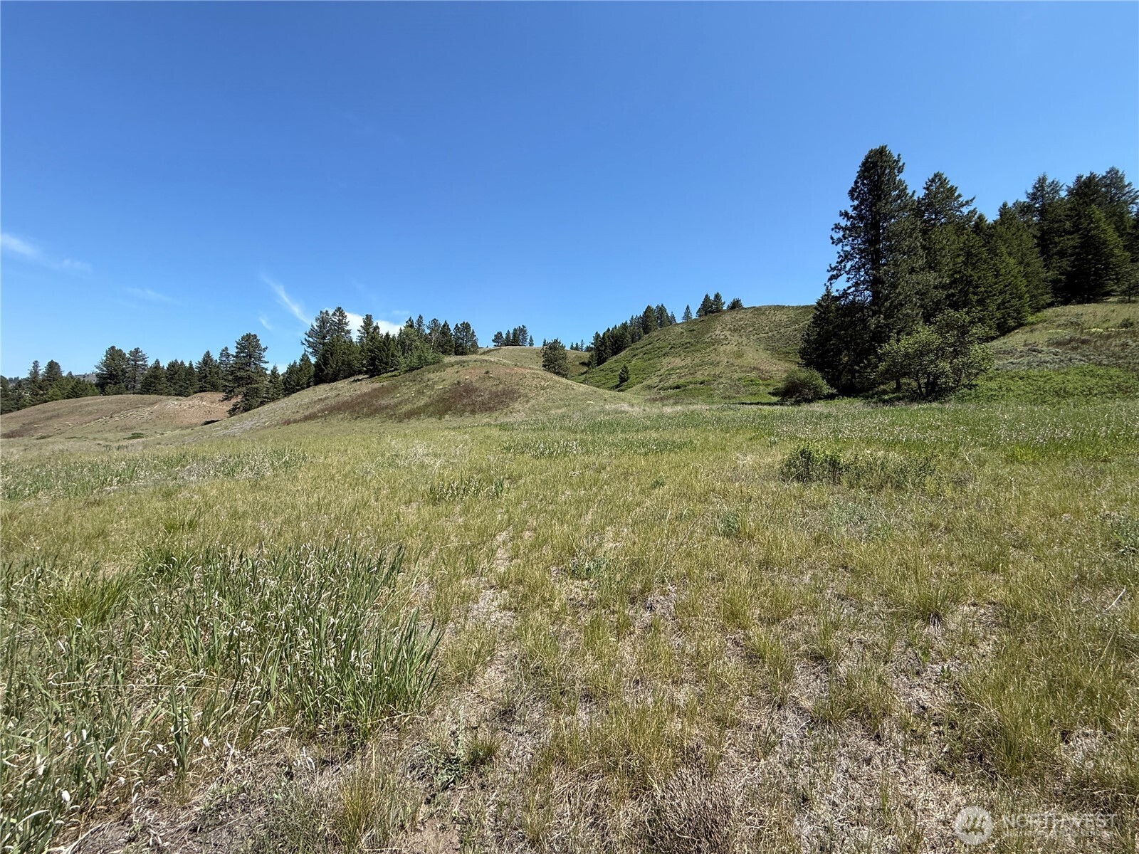 0 Art Creek Road Malo WA 99150