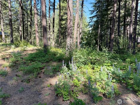 11 Highland Meadows Winthrop WA 98862