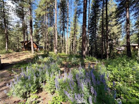 11 Highland Meadows Winthrop WA 98862