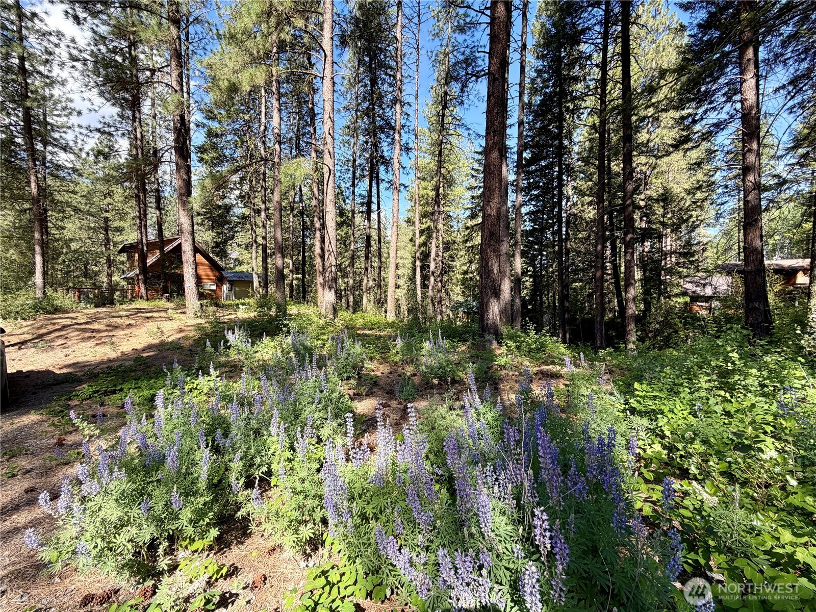 11 Highland Meadows Winthrop WA 98862
