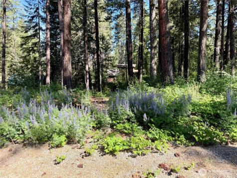 11 Highland Meadows Winthrop WA 98862