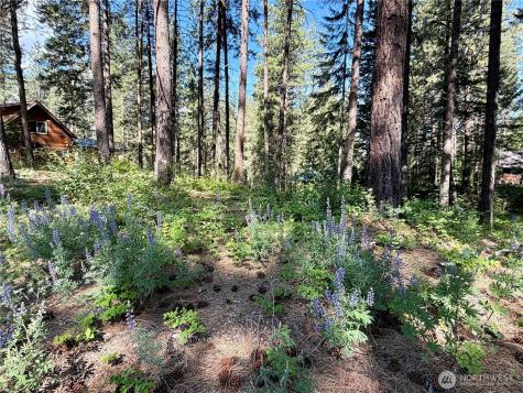 11 Highland Meadows Winthrop WA 98862