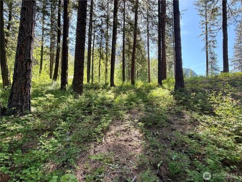 11 Highland Meadows Winthrop WA 98862