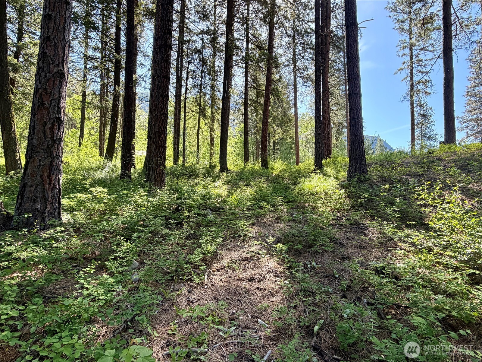 11 Highland Meadows Winthrop WA 98862