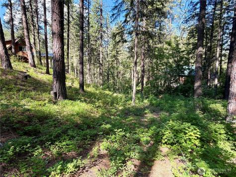 11 Highland Meadows Winthrop WA 98862