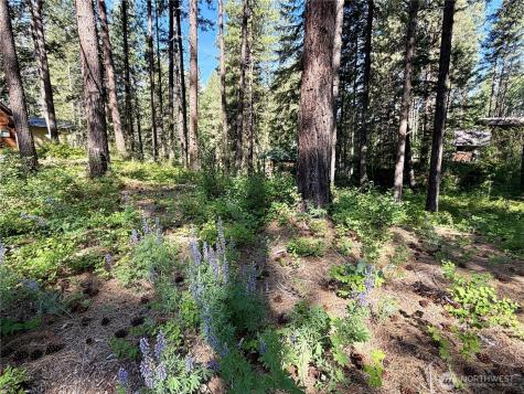 11 Highland Meadows Winthrop WA 98862