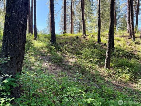 11 Highland Meadows Winthrop WA 98862
