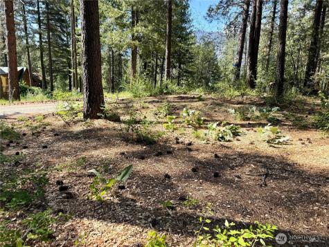11 Highland Meadows Winthrop WA 98862
