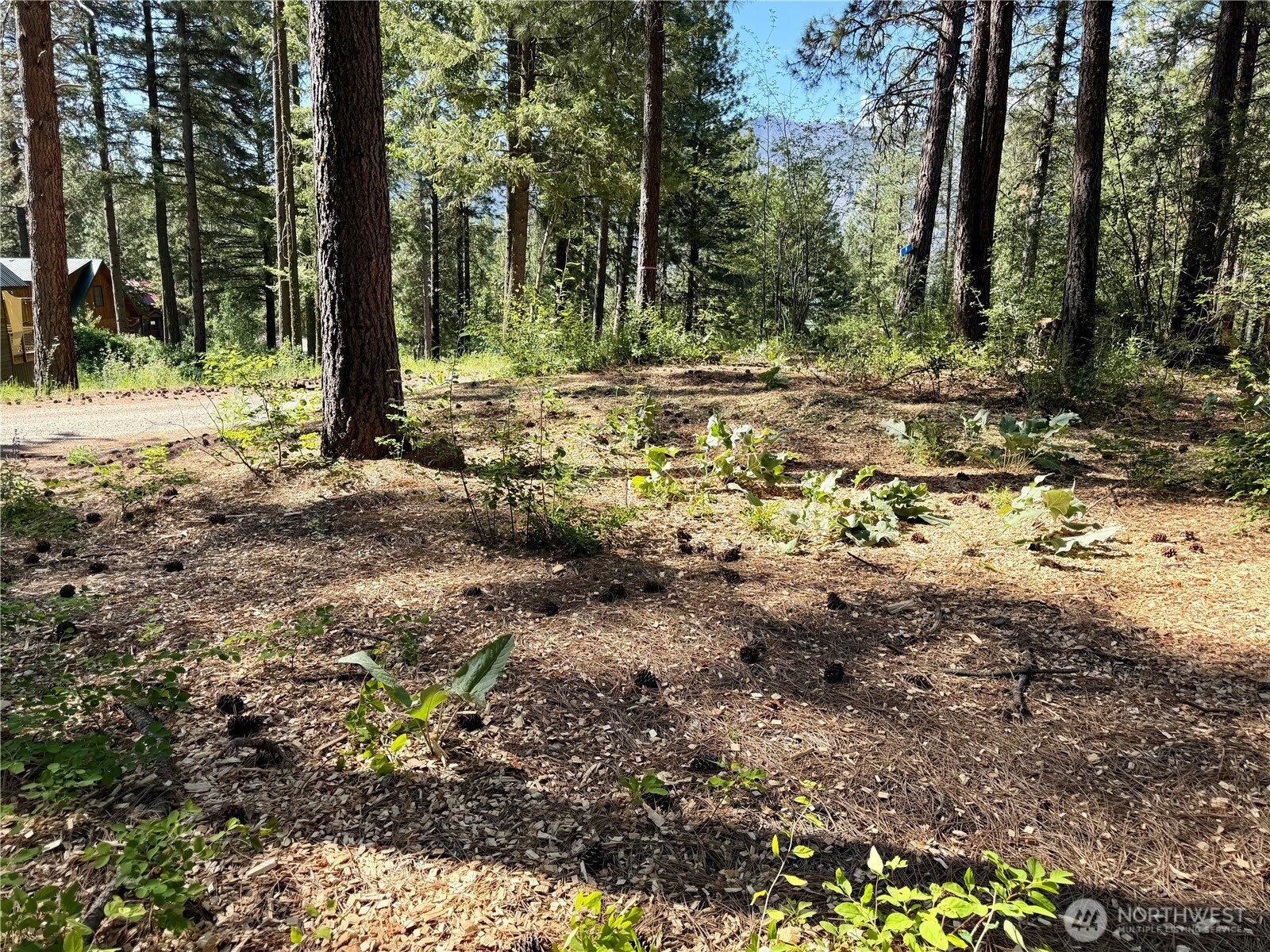 11 Highland Meadows Winthrop WA 98862
