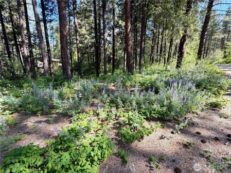 11 Highland Meadows Winthrop WA 98862