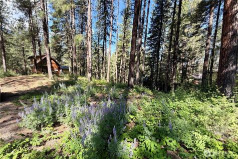11 Highland Meadows Winthrop WA 98862