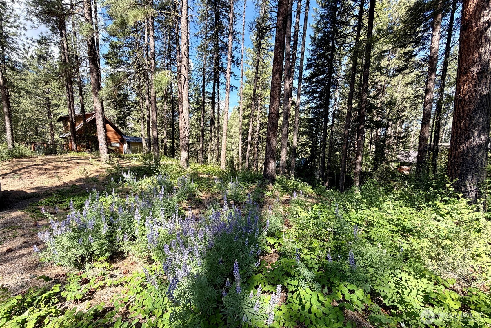 11 Highland Meadows Winthrop WA 98862