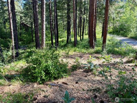11 Highland Meadows Winthrop WA 98862