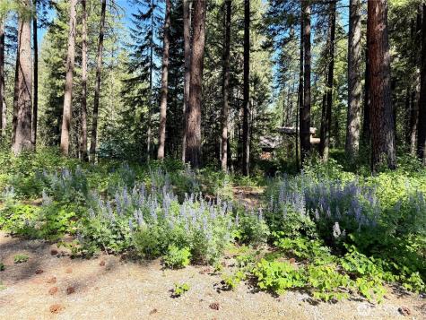 11 Highland Meadows Winthrop WA 98862
