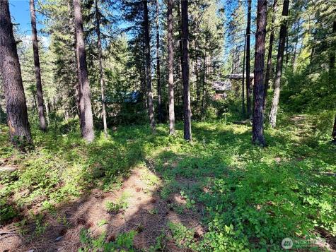 11 Highland Meadows Winthrop WA 98862