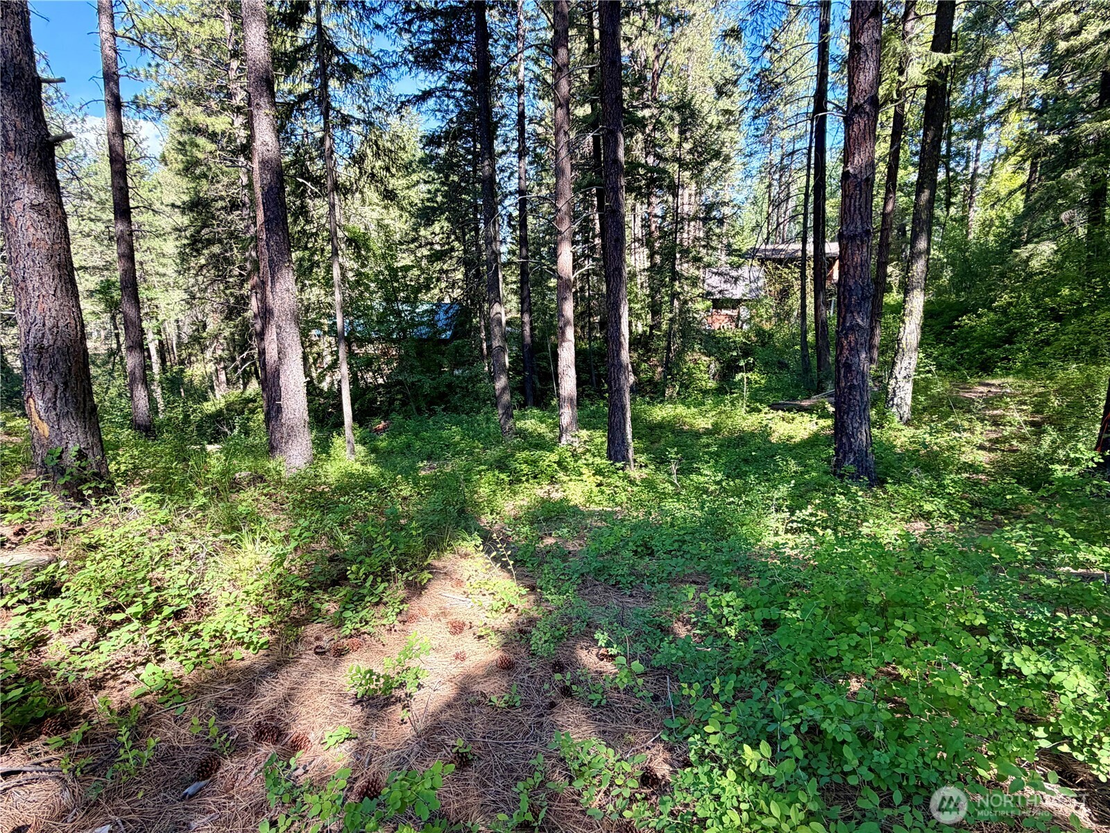 11 Highland Meadows Winthrop WA 98862