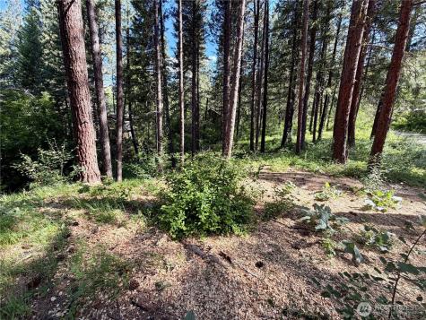 11 Highland Meadows Winthrop WA 98862