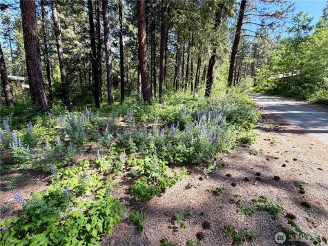 11 Highland Meadows Winthrop WA 98862